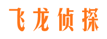 柳南侦探